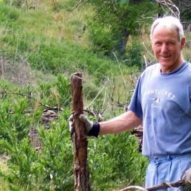 Our New Life That Includes a Farm Image